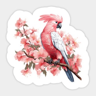 Rose Breasted Cockatoo Sticker